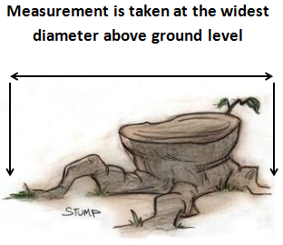 Tree stump measuring guide
